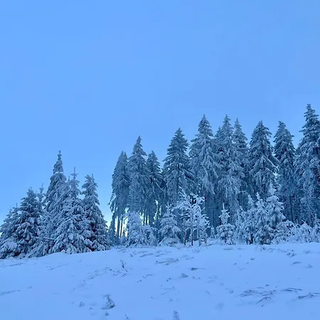 Edelmann By Interhome Tatil Evi *