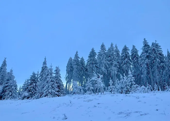 Edelmann By Interhome Tatil Evi *